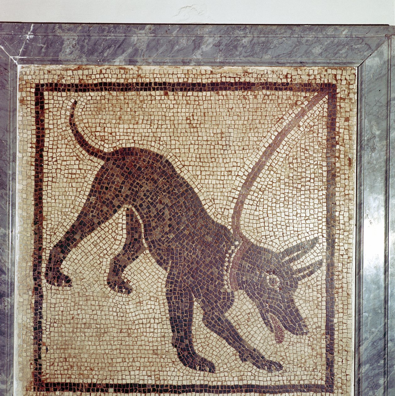 Mosaico romano de cachorro, Cave Canem, Pompeia, Itália de Unbekannt