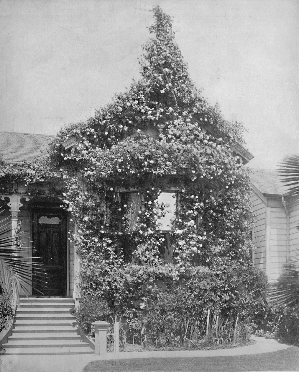 Rose Cottage, South Spring Street, Los Angeles, Califórnia, c1897. de Unbekannt