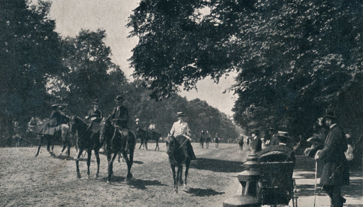 Fileira podre, Hyde Park, c1900 de Unbekannt