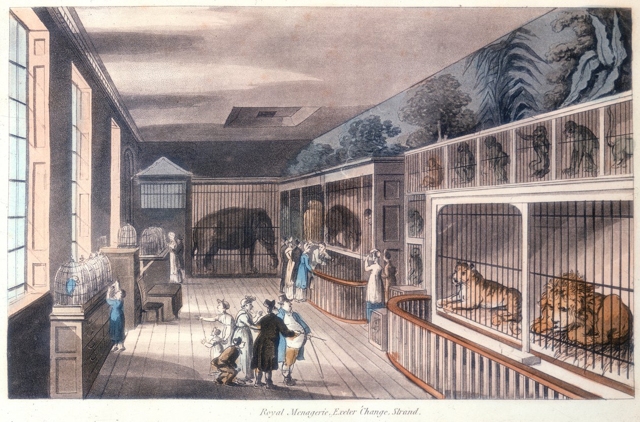 Menagerie real, mudança de Exeter, costa, Londres, c1820 de Unbekannt