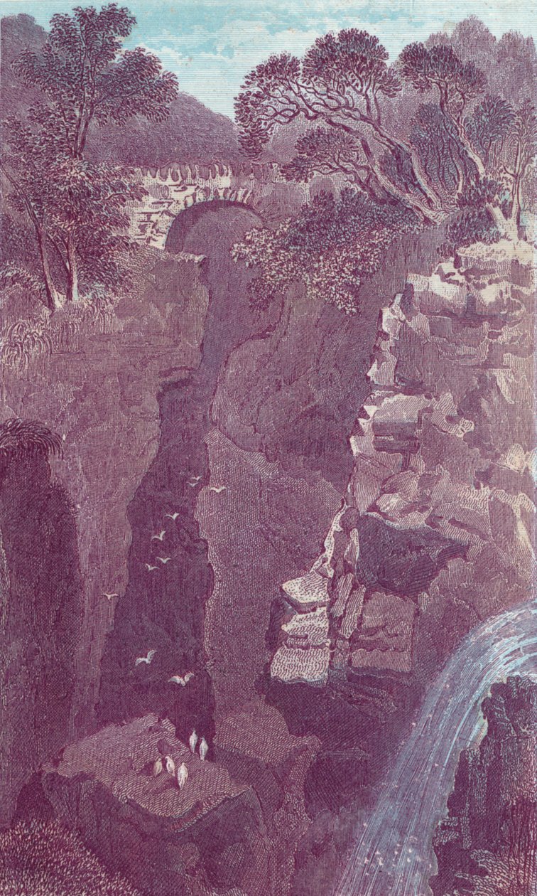 Ponte Rumbling. Dunkeld, século XIX de Unbekannt