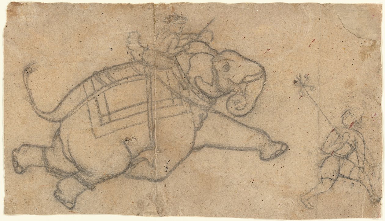Running Elephant recto, Practice Sheet of Elephant Sketches verso, meados do século XVIII. de Unbekannt