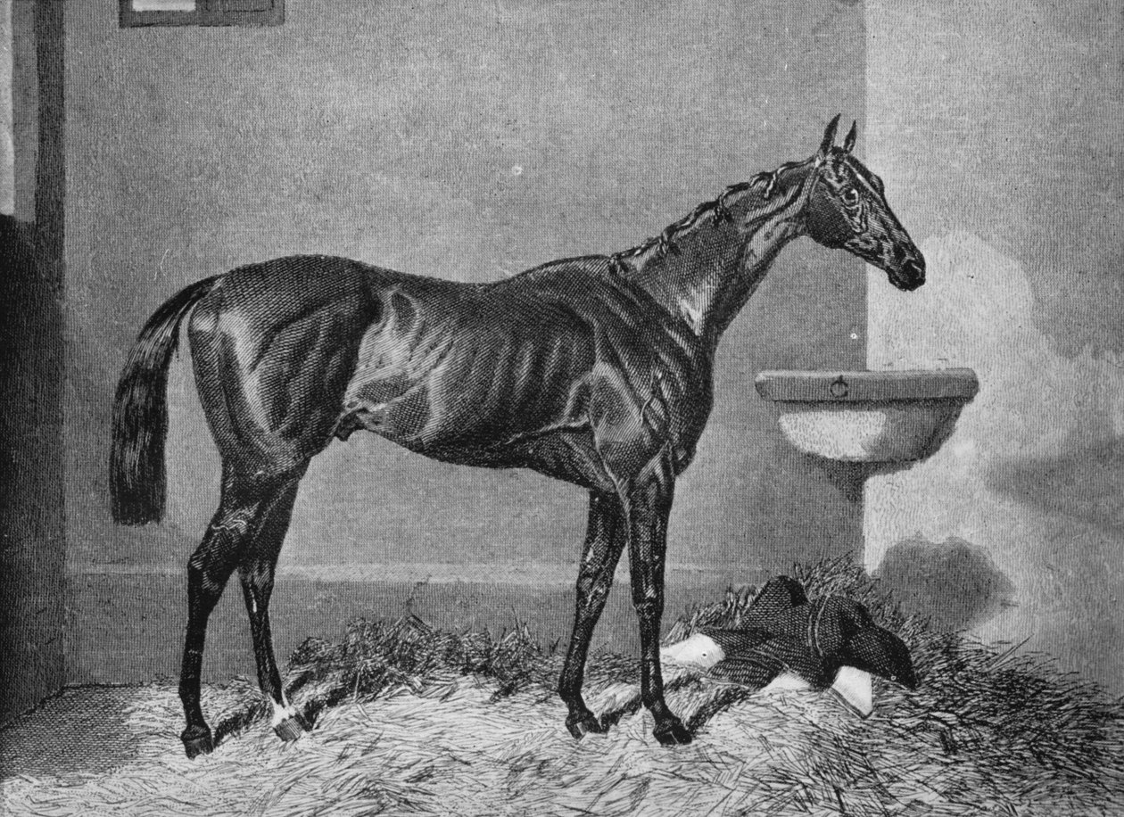 Russborough, século XIX, 1911 de Unbekannt