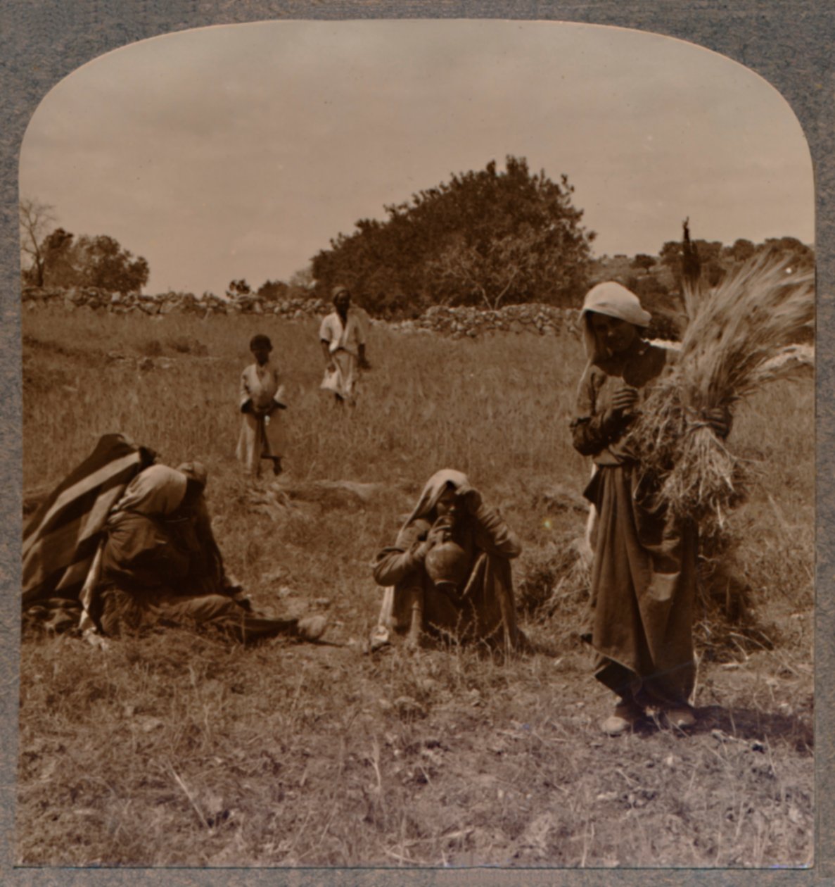 Rute apanhando nos campos de Boaz, c1900 de Unbekannt