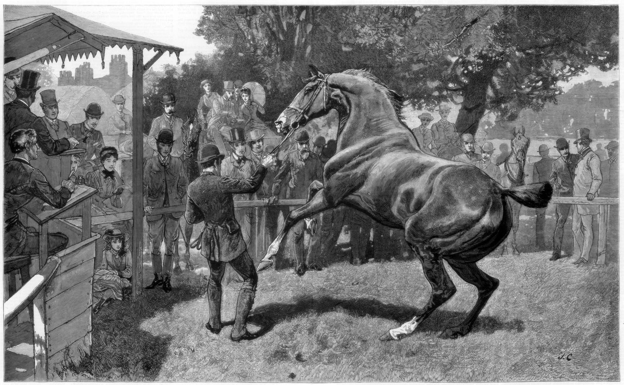 Venda de Caçadores Levantamento e objeção, 1885 de Unbekannt