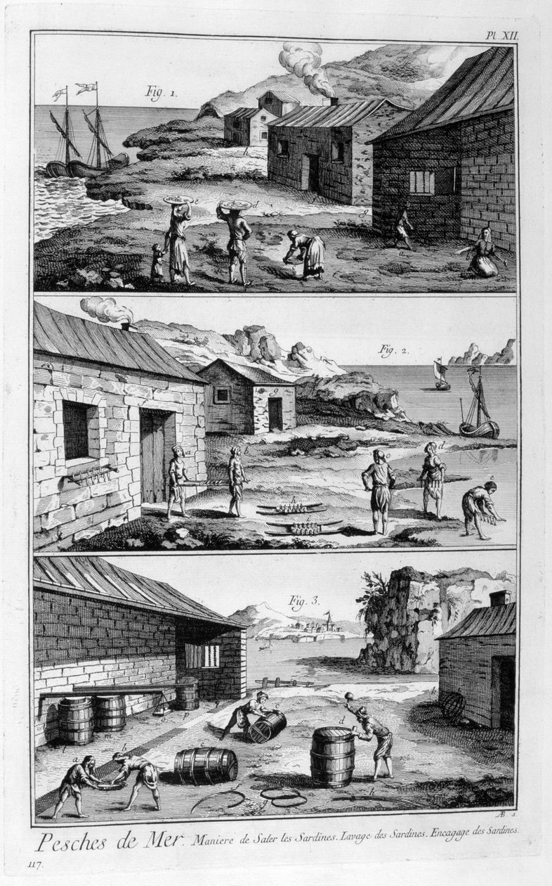 Salga, lavagem, embalagem de sardinha, 1751-1777 de Unbekannt
