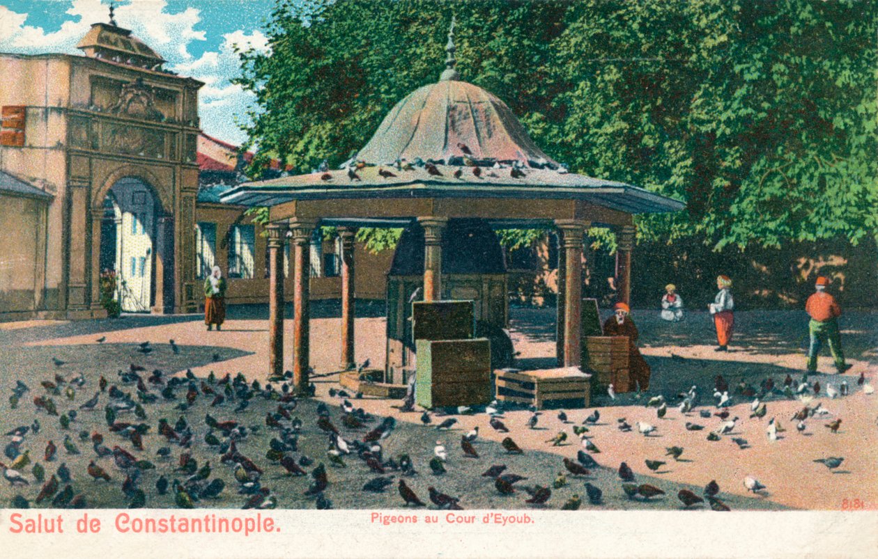 Salvação de Constantinopla - pombos na corte de Eyoub, c1900 de Unbekannt