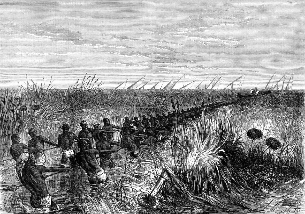 Barco de Samuel Bakers rebocado através da grama do rio, 1864 1874 de Unbekannt