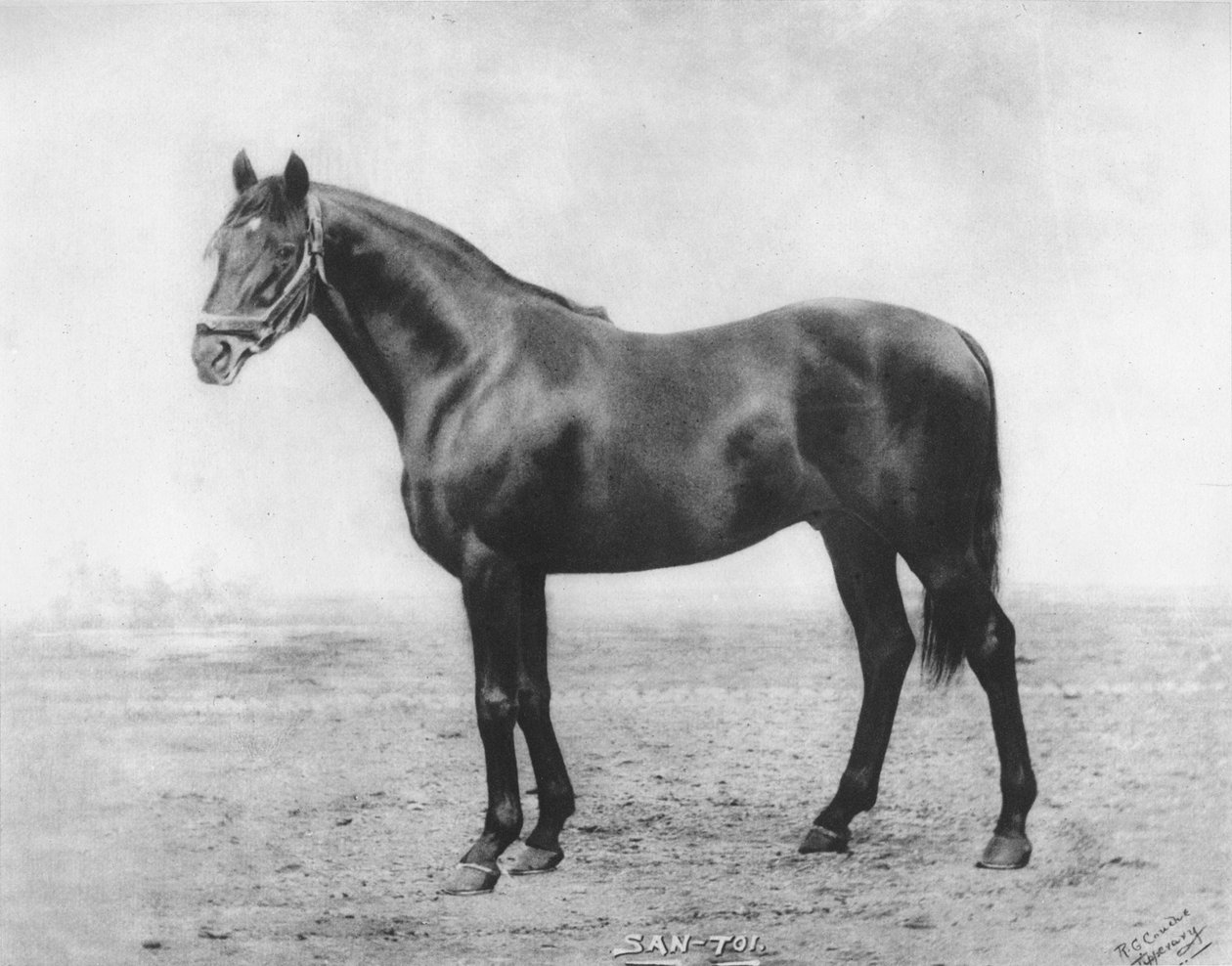 San-Toi, 1911 de Unbekannt