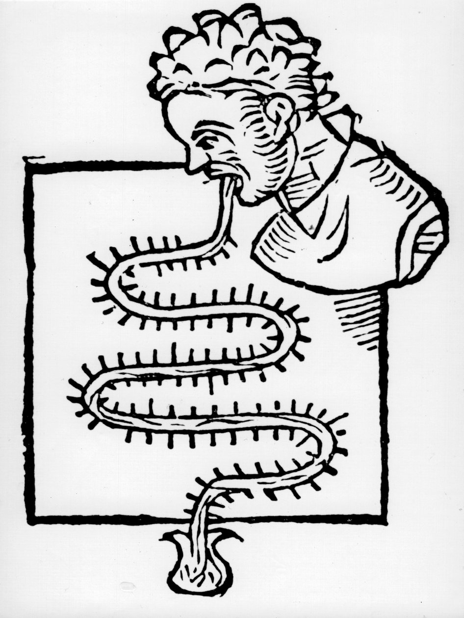 Sanctorius termómetro clínico, 1612 de Unbekannt