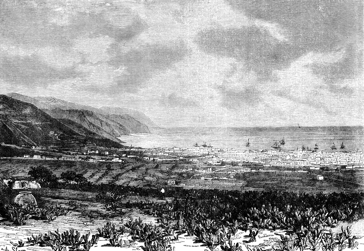 Santa Cruz, Tenerife, Espanha, 1895 de Unbekannt