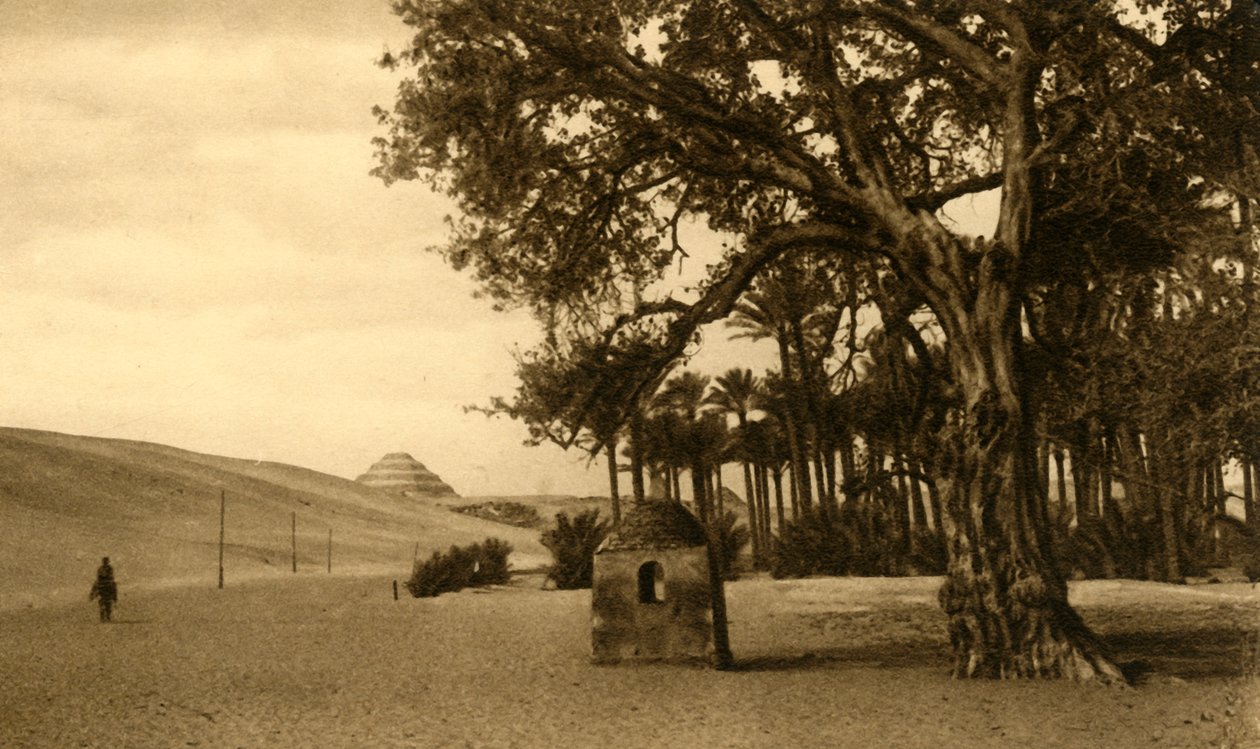 Saqqara - A pirâmide de degraus vista do Sycomore, c1918-c1939. de Unbekannt