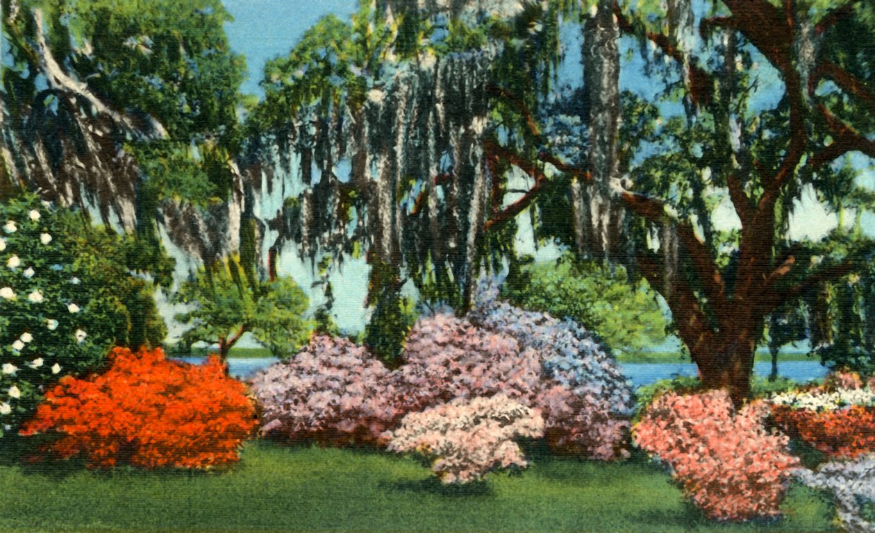 Cena em Belle Isle Gardens, perto de Georgetown, SC, 1942. de Unbekannt