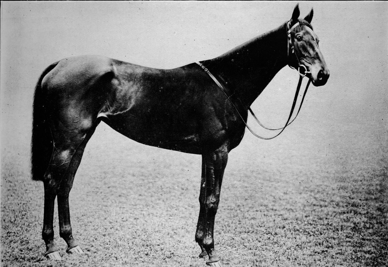 Cetro, 1899-1926, 1911 de Unbekannt