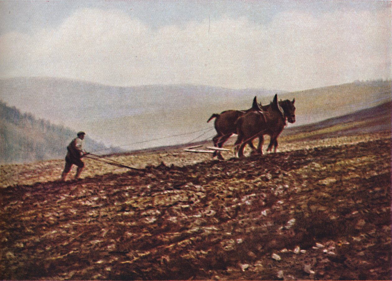 Escócia, c1930s de Unbekannt