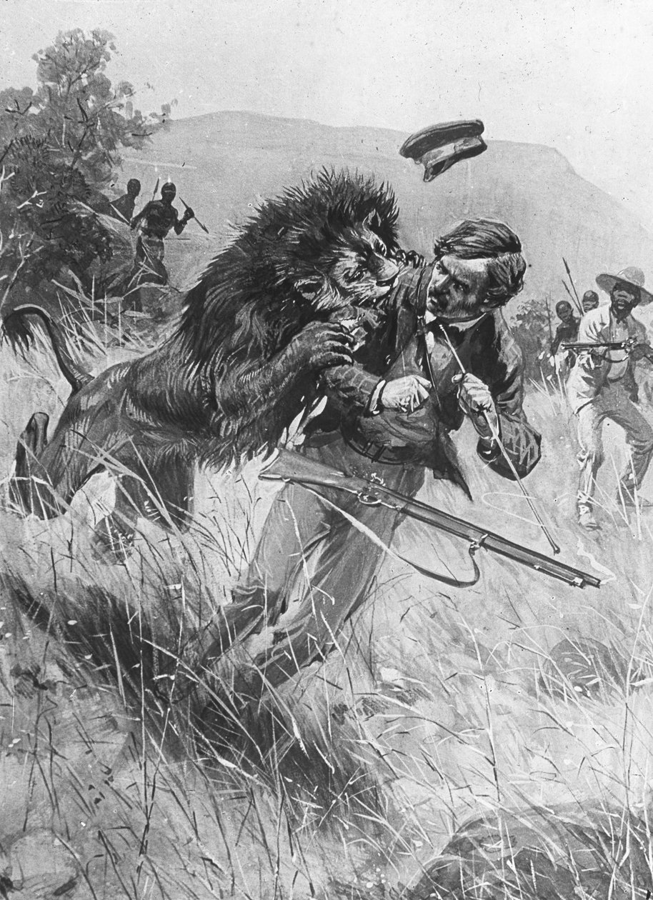 Missionário e explorador escocês David Livingstone sendo atacado por um leão, África, século XIX de Unbekannt