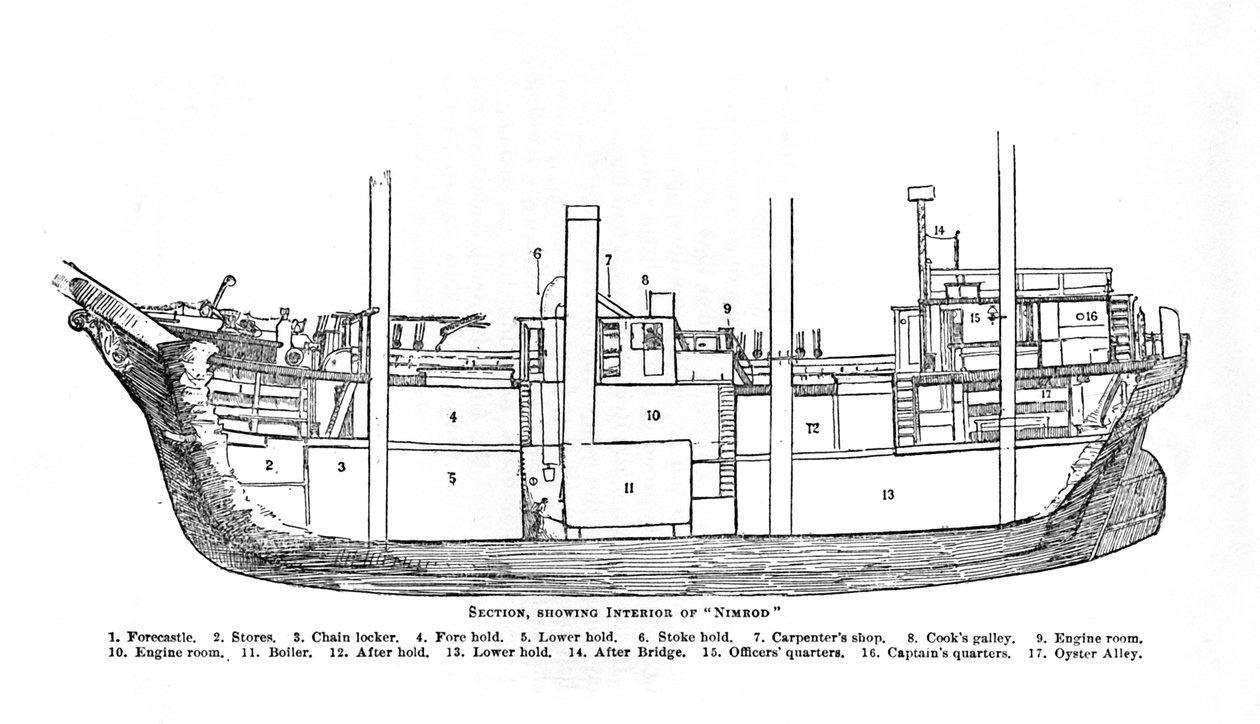 Seção, mostrando o interior de Nimrod., 1909 de Unbekannt