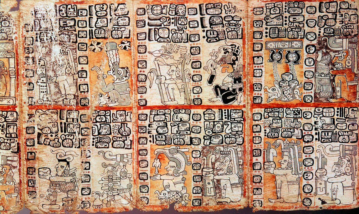 Seção do Codex Maia Troano, século XV de Unbekannt