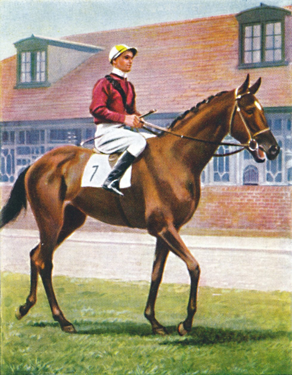 Senor, Jóquei: J. Crouch, 1939 de Unbekannt