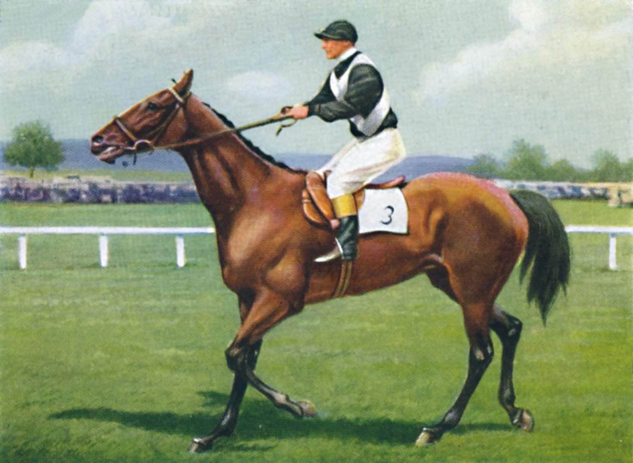 Shalfleet, Jóquei: R. Perryman, 1939 de Unbekannt