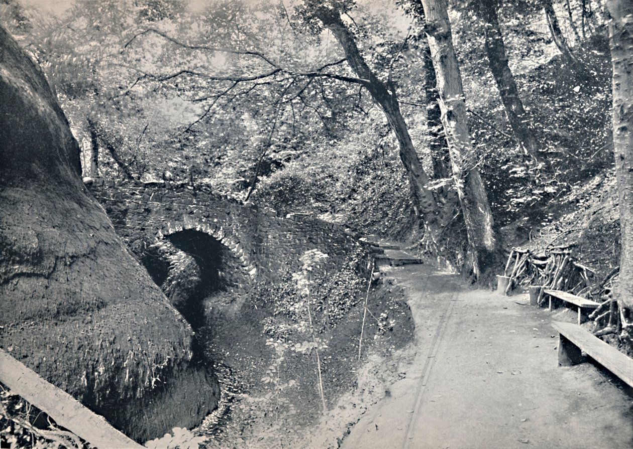 Shanklin - O Chine, 1895 de Unbekannt