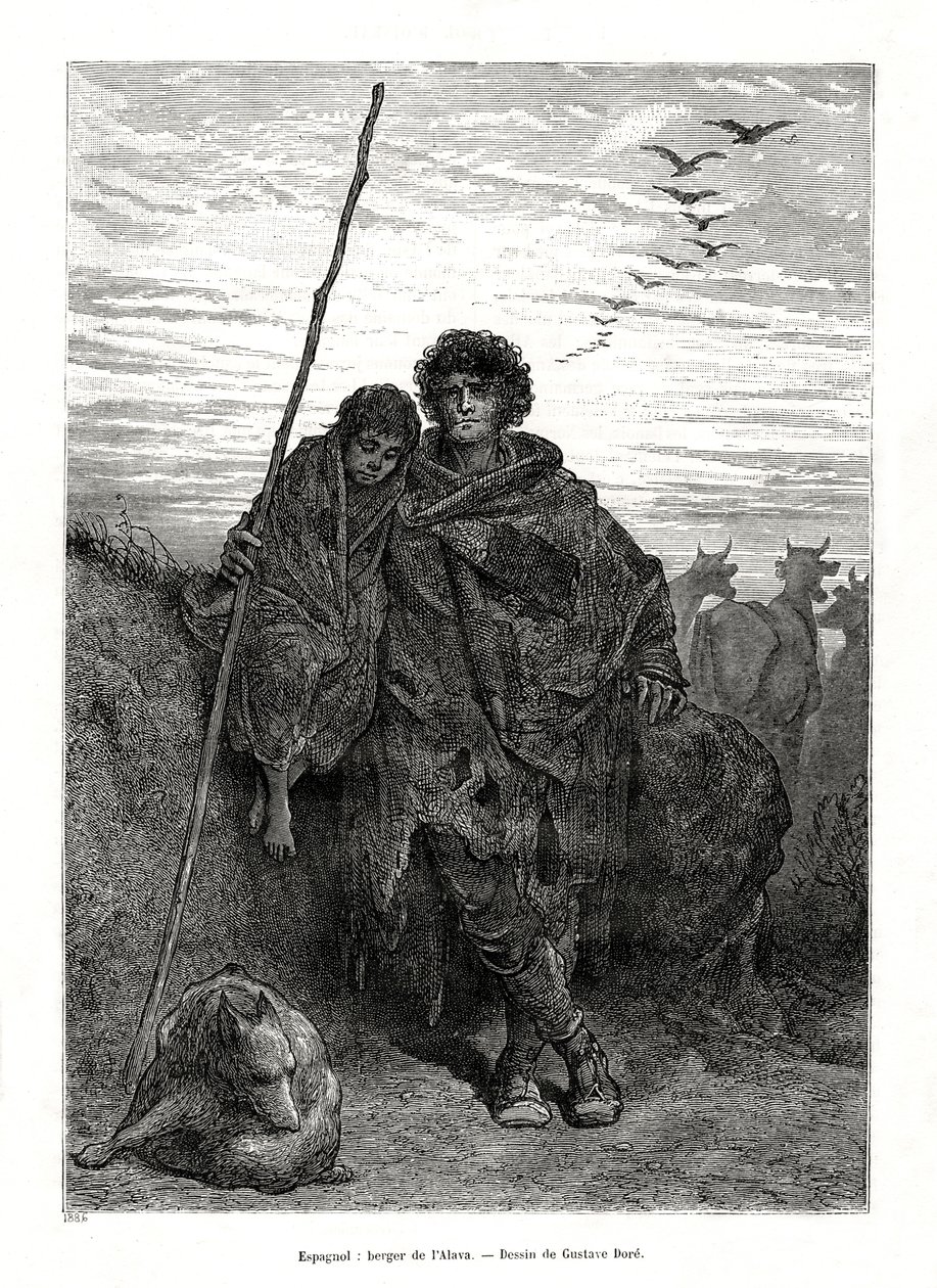 Pastor de Álava, Espanha, 1886 de Unbekannt