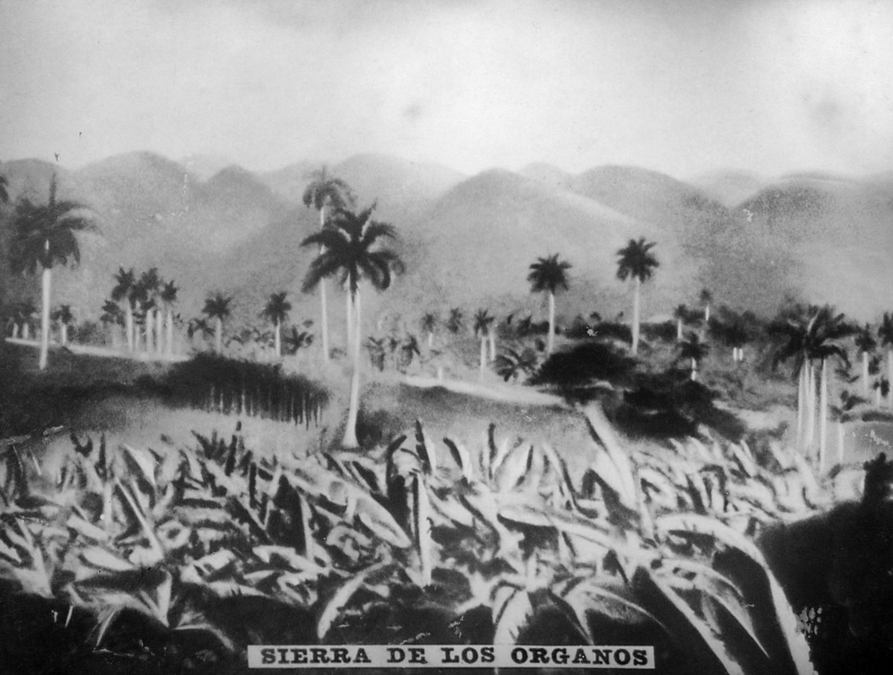 Sierra de los Organos, 1896, 1920 de Unbekannt