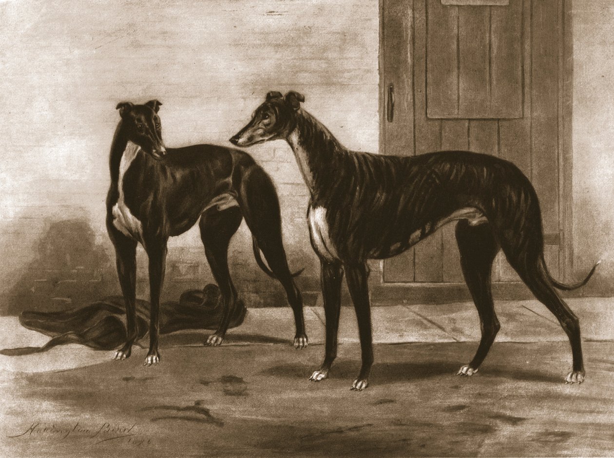 Simonian e Fullerton, c1891, 1911. de Unbekannt