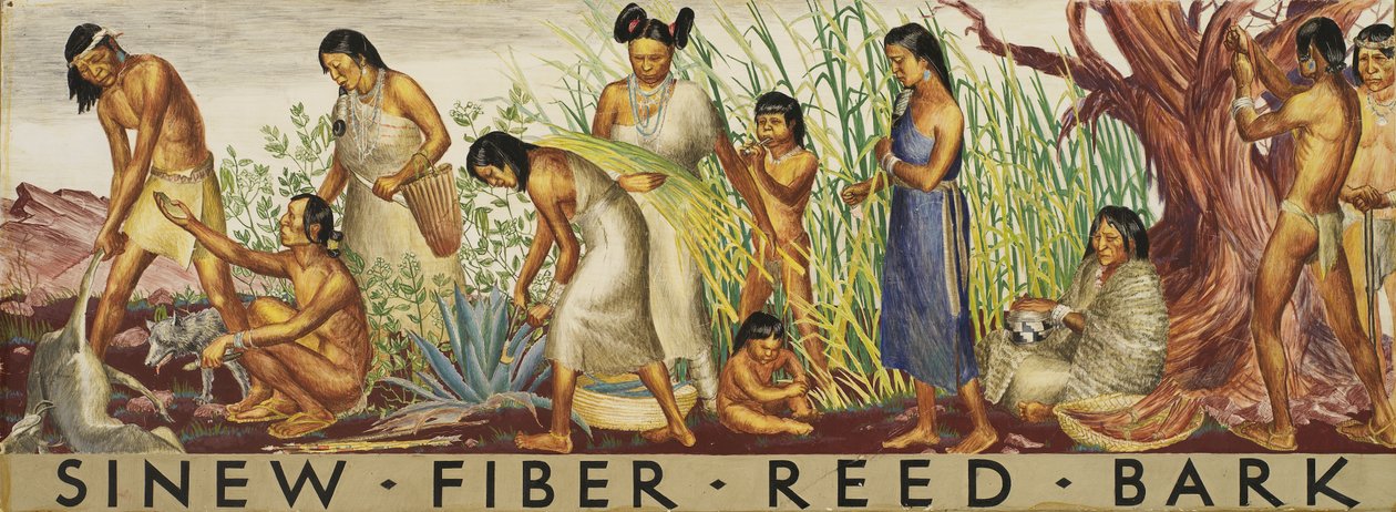 Estudo mural de tendão, fibra, junco, casca, ca. 1933-1943. de Unbekannt