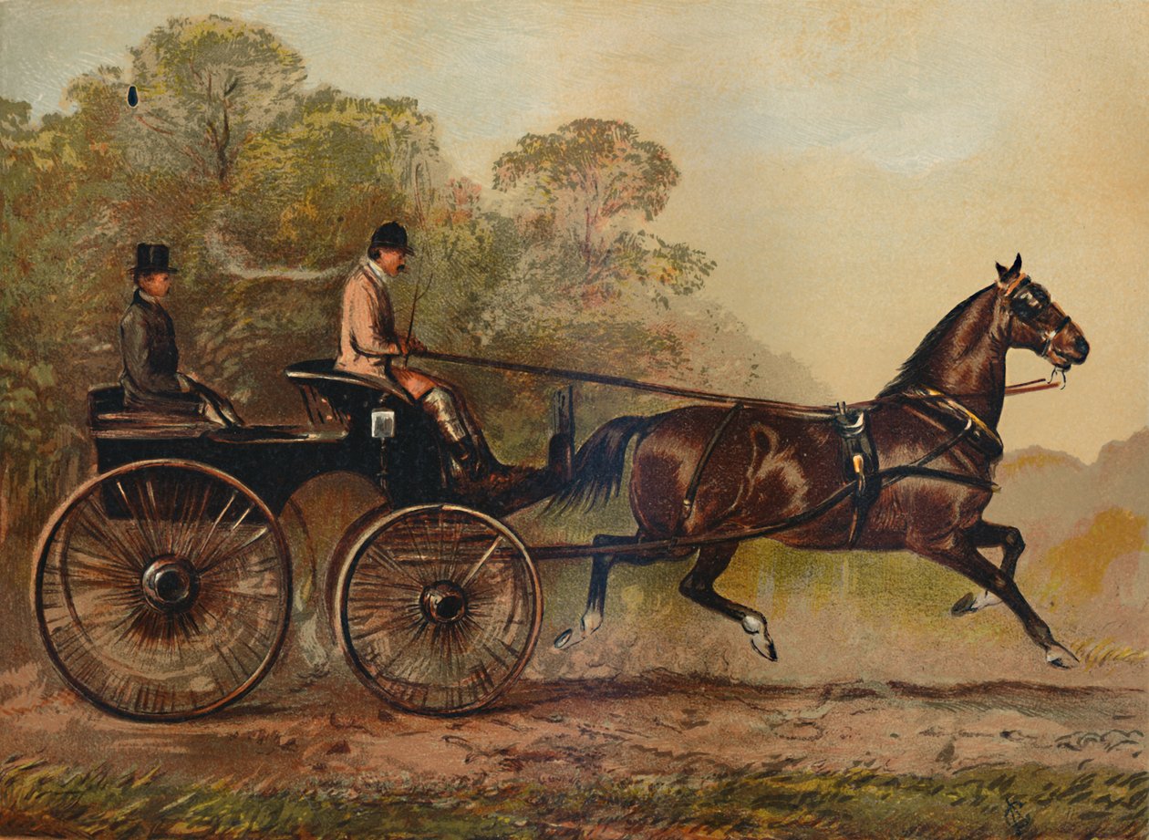 Chicote de fios Phaeton Horse Columbine. Propriedade de Charles Baynes Esq., 1872, c1879 de Unbekannt