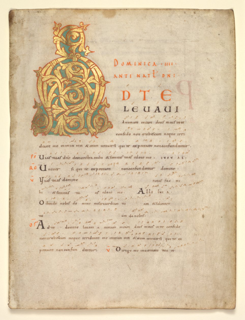 Folha Única Excisada de um Gradual e Sacramentário: Inicial A [d te lavavi], c. 1000-1010. de Unbekannt
