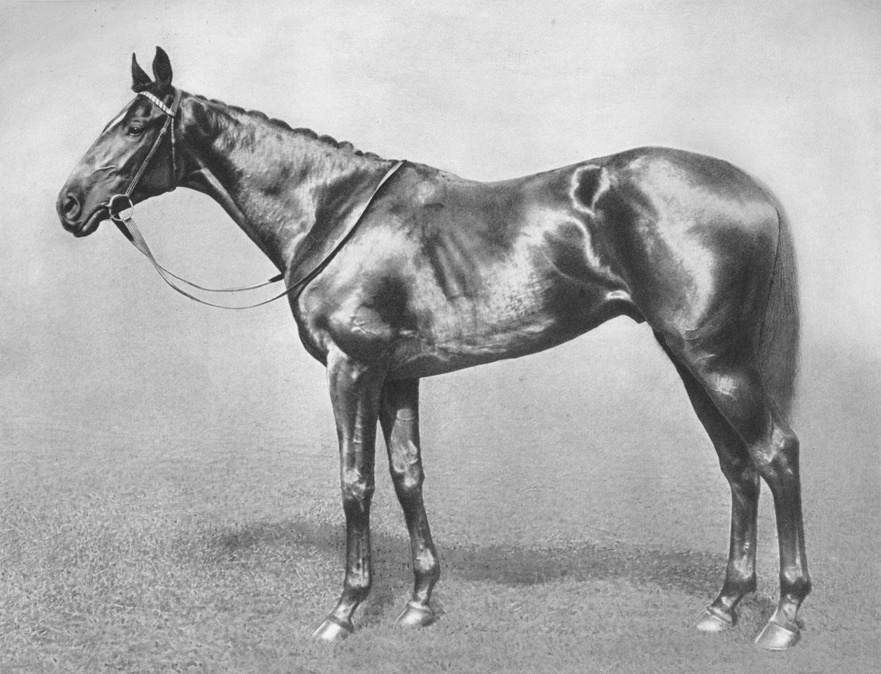 Sir Archibald, 1911 de Unbekannt