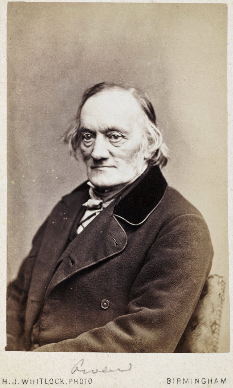 Sir Richard Owen, naturalista e paleontólogo inglês, c 1880 de Unbekannt