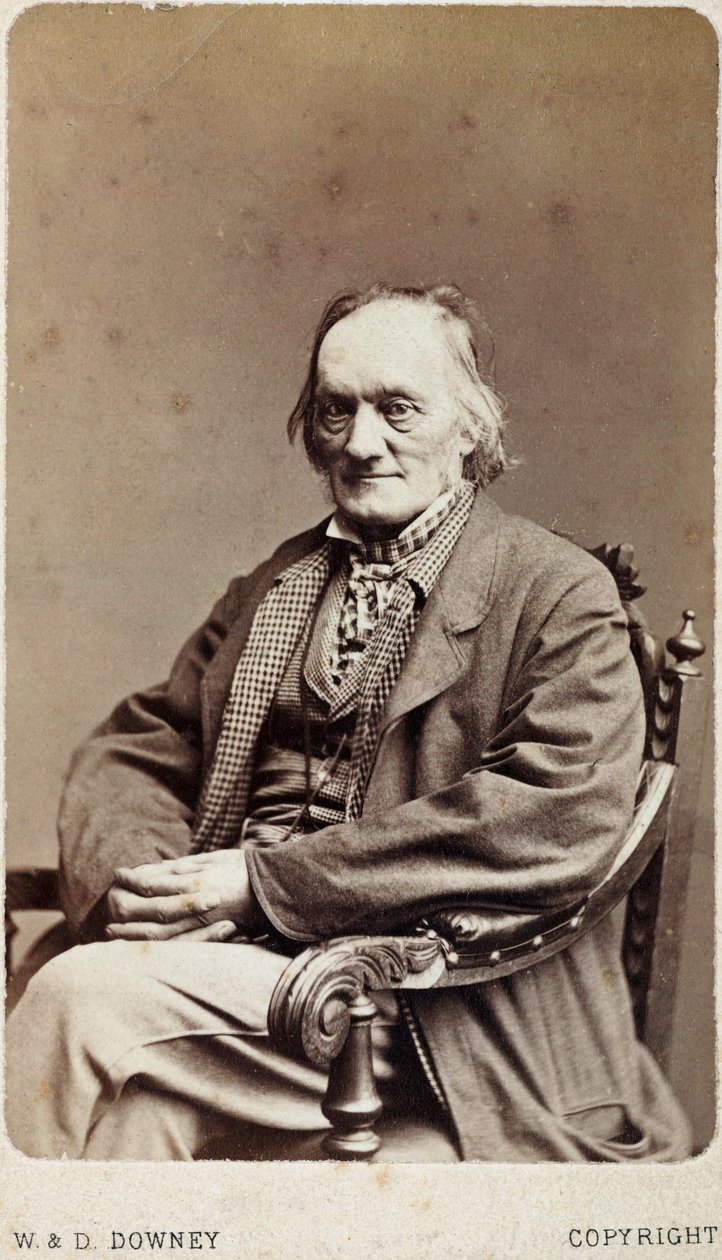 Sir Richard Owen, naturalista e paleontólogo inglês, c 1880 de Unbekannt