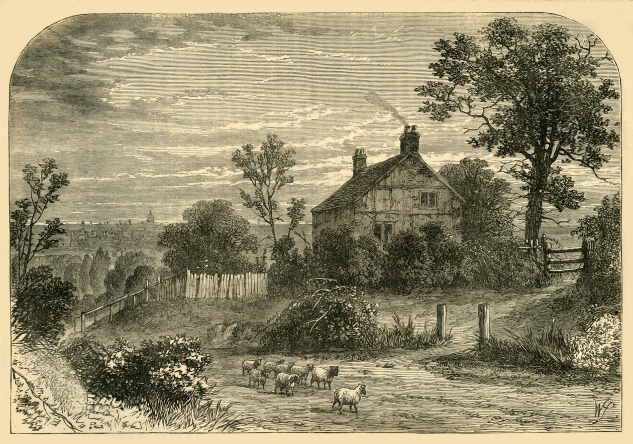 Casa do senhor Richard Steeles, monte de Haverstock, c1876. de Unbekannt