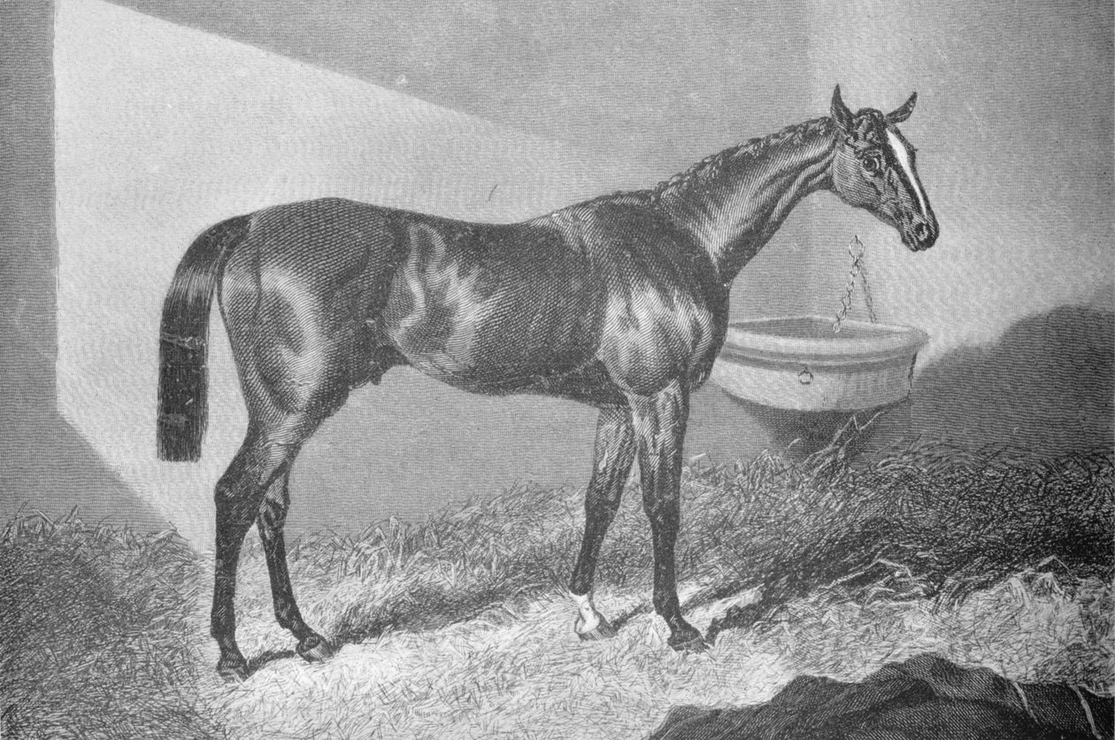 Sir Tatton Sykes, 1842-1860, 1911 de Unbekannt