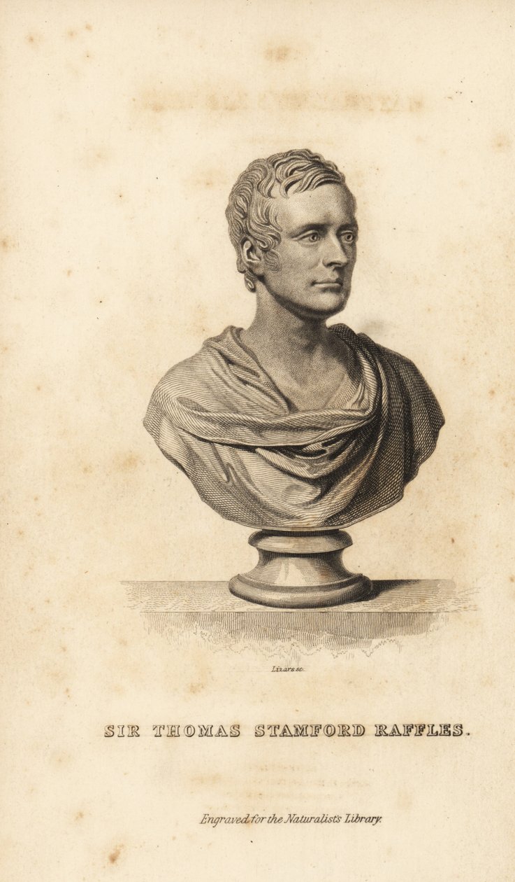 Sir Thomas Stanford Raffles, estadista britânico, escritor e naturalista. de Unbekannt
