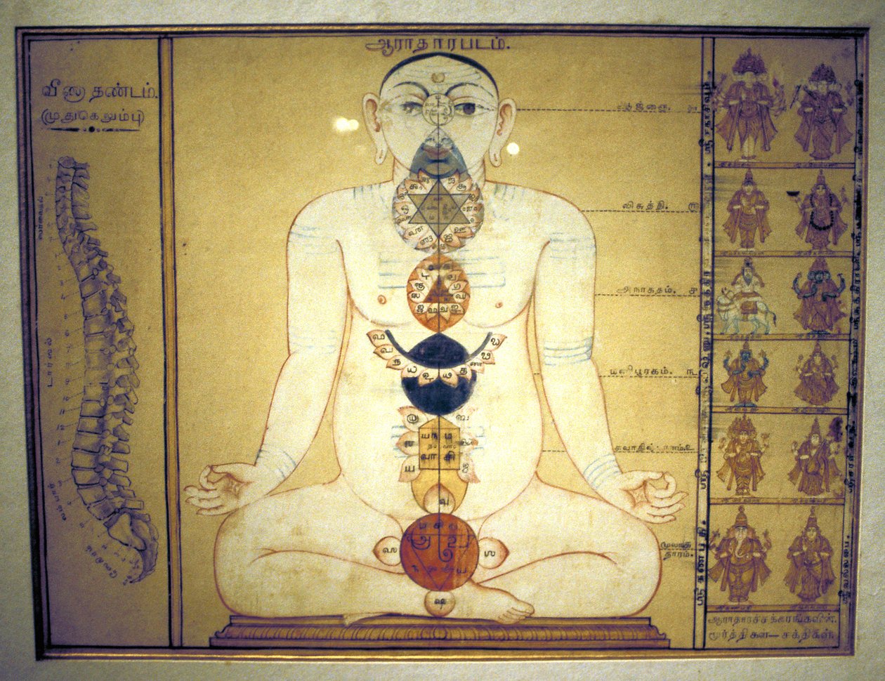 Seis Chakras representando os plexos do corpo humano, Tanjore, Tamil Nadu, c1850 de Unbekannt
