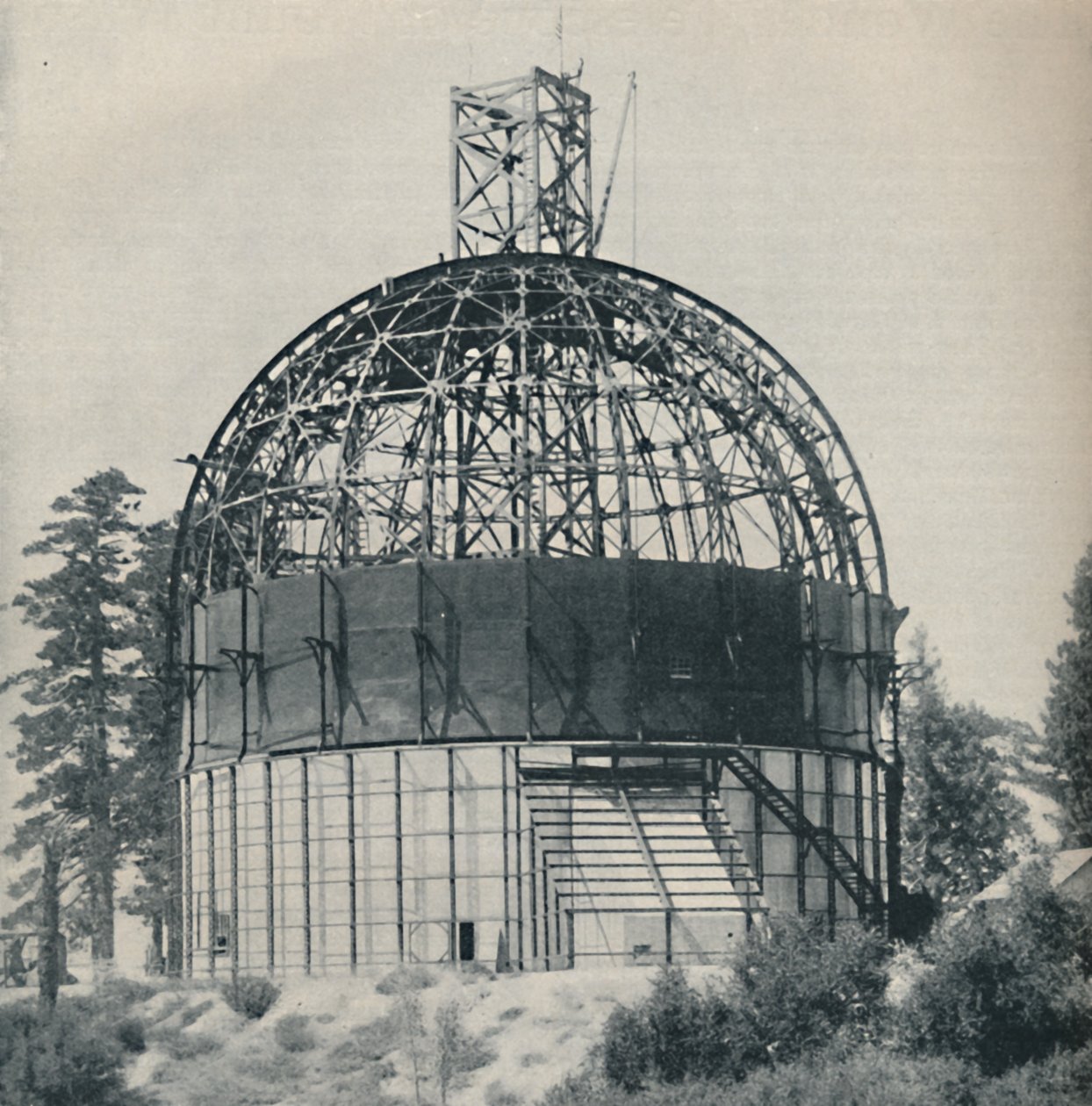 Abóbada de esqueleto para abrigar um mamute astronômico, c1935 de Unbekannt