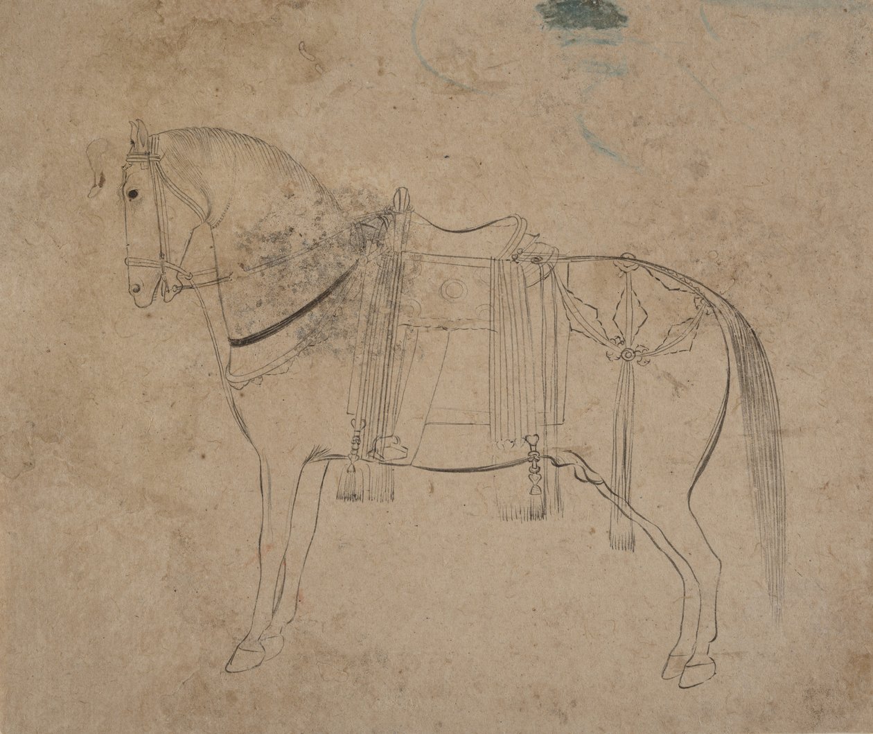 Esboço de um Cavalo, final do século XVIII. de Unbekannt
