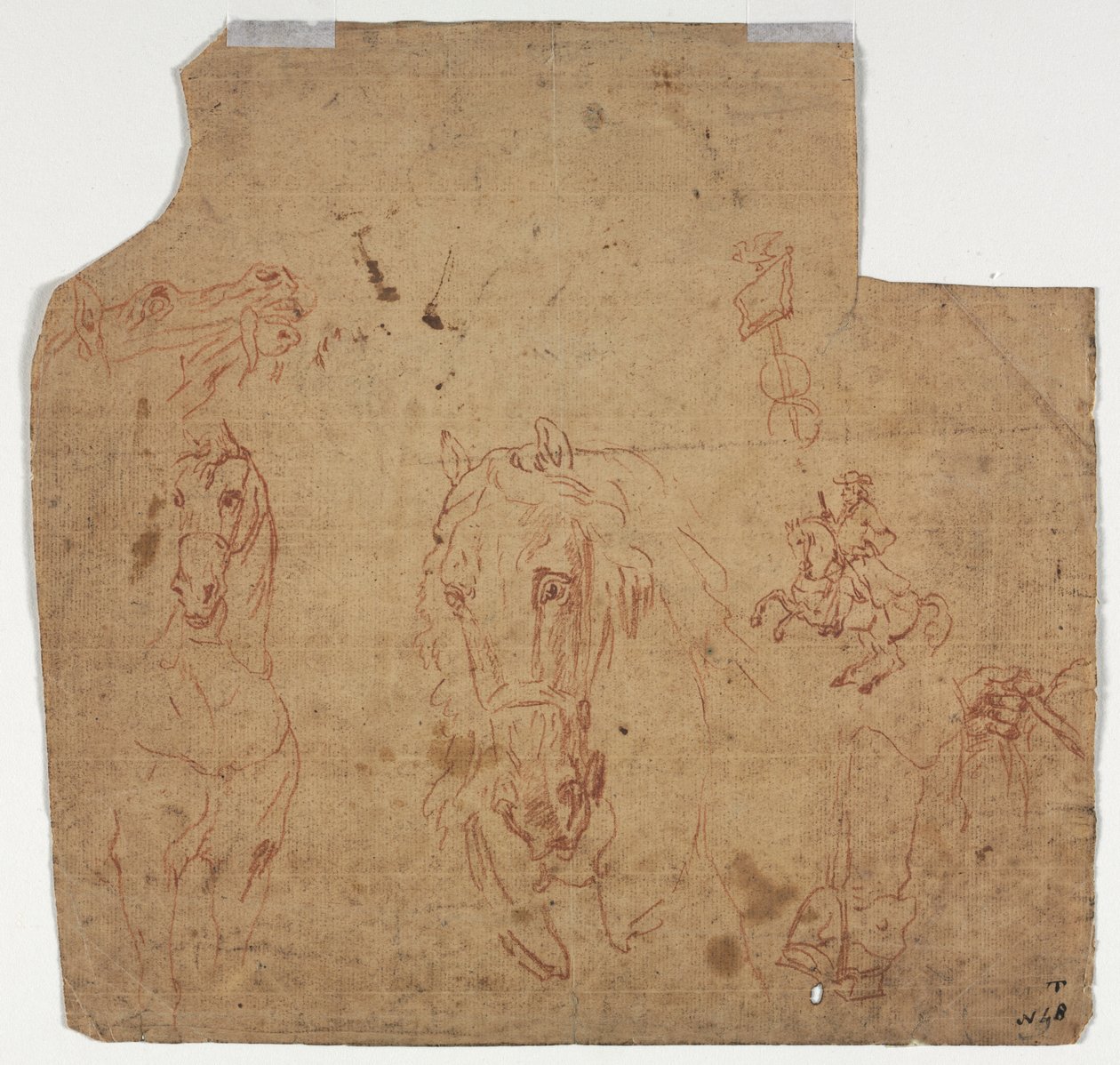 Esboços de Cavalos e Cavaleiros recto, Esboços de Cavalos verso, século XVII. de Unbekannt
