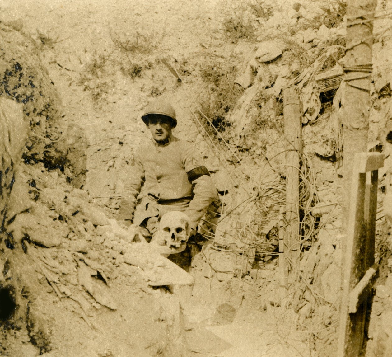 Crânio encontrado enterrado nas trincheiras, c1914-c1918 de Unbekannt