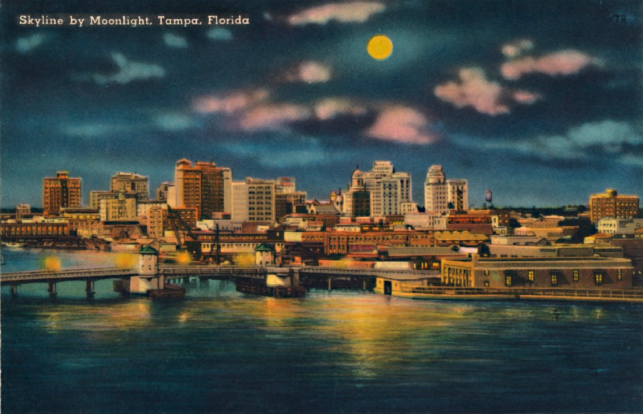 Skyline pelo luar, Tampa, Flórida, c1940s de Unbekannt