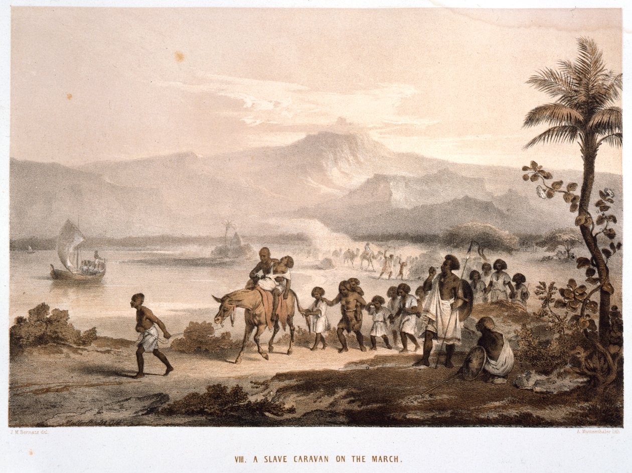Comboio de escravos em março de 1852 de Unbekannt