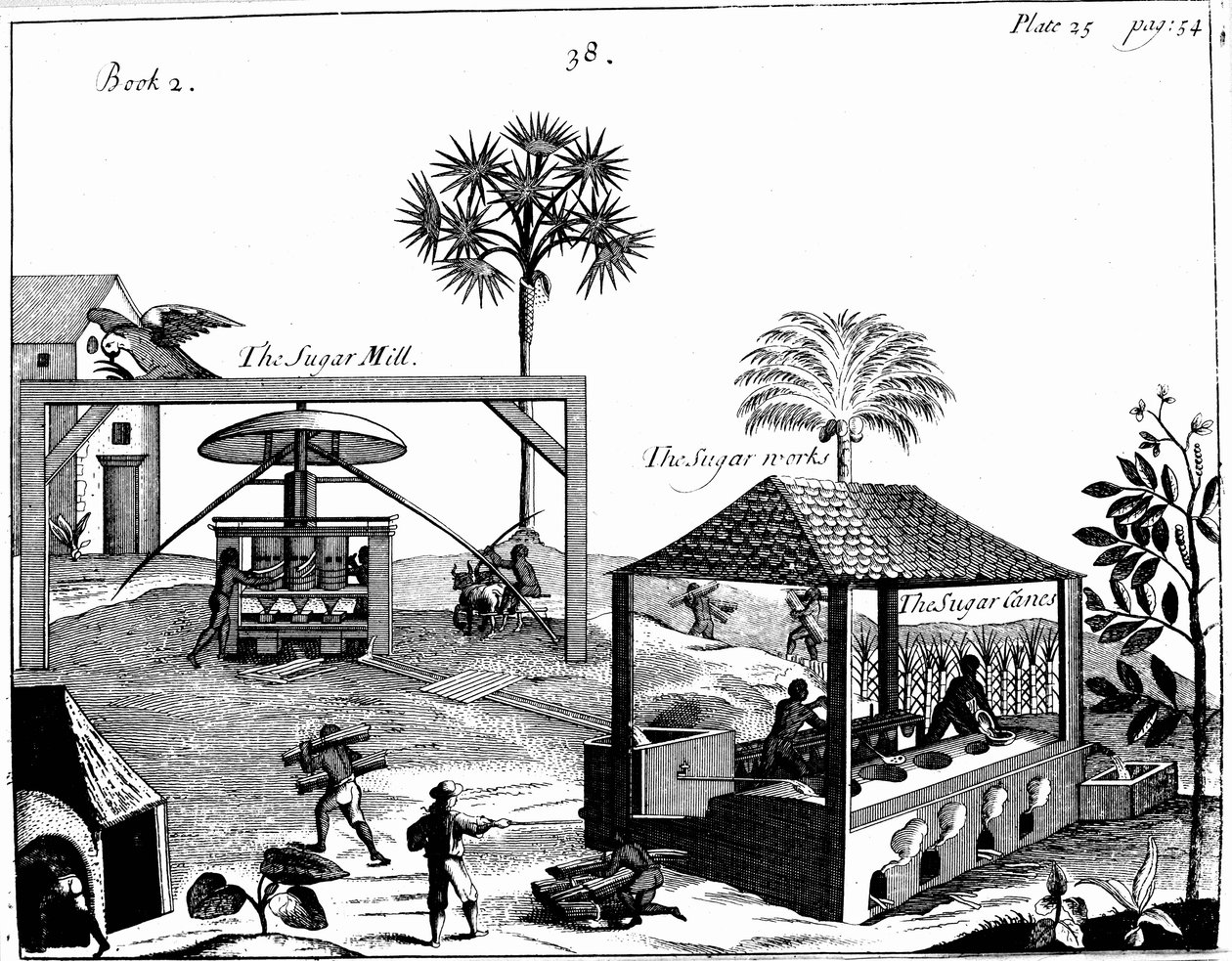 Trabalho escravo em uma plantação de açúcar nas Índias Ocidentais, 1725 de Unbekannt