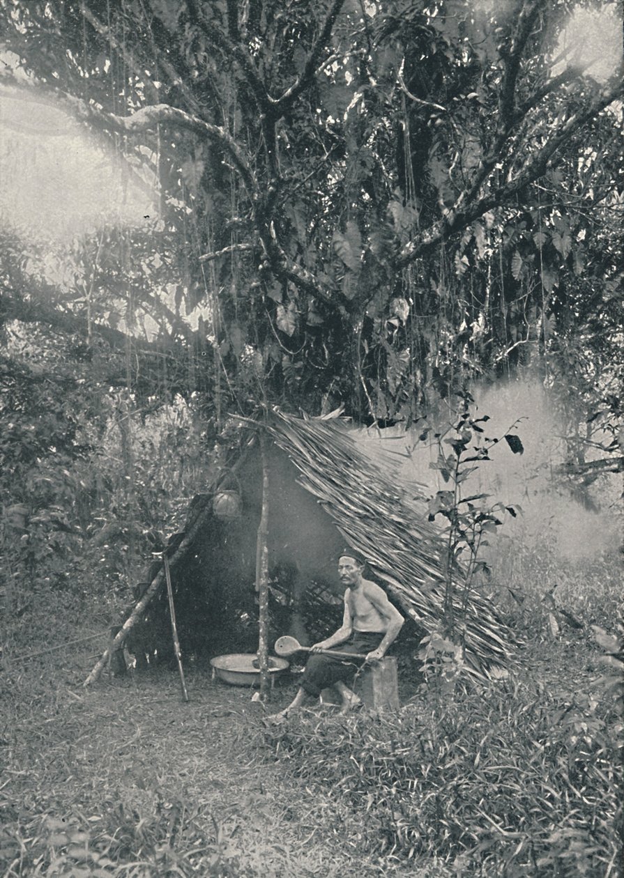 Borracha para fumar, 1916 de Unbekannt