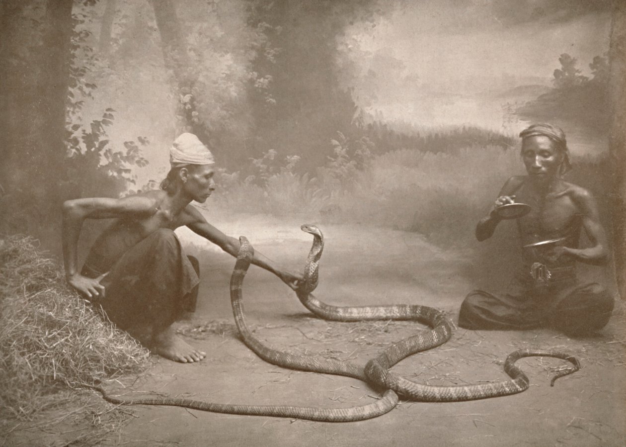 Encantadores de serpentes com Hamadryads Kuy Cobras, 1900. de Unbekannt