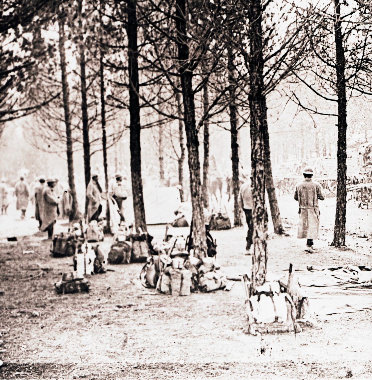 Soldados e pacotes em madeiras, c1914-c1918 de Unbekannt