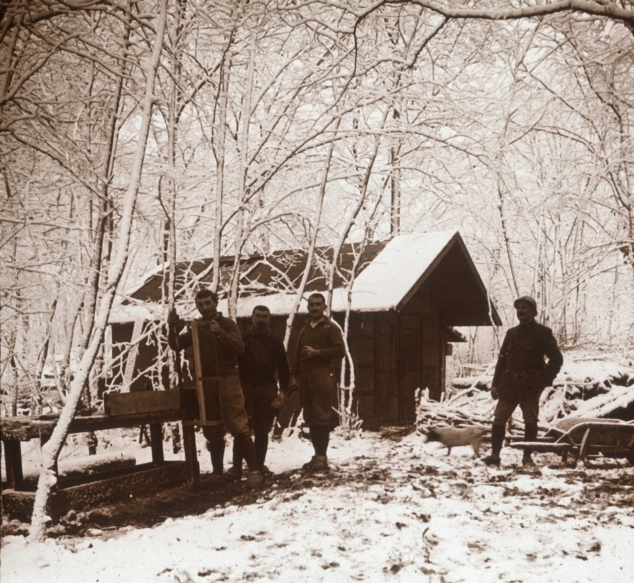 Soldados, neve, floresta rainha, frança, c1914-c1918 de Unbekannt