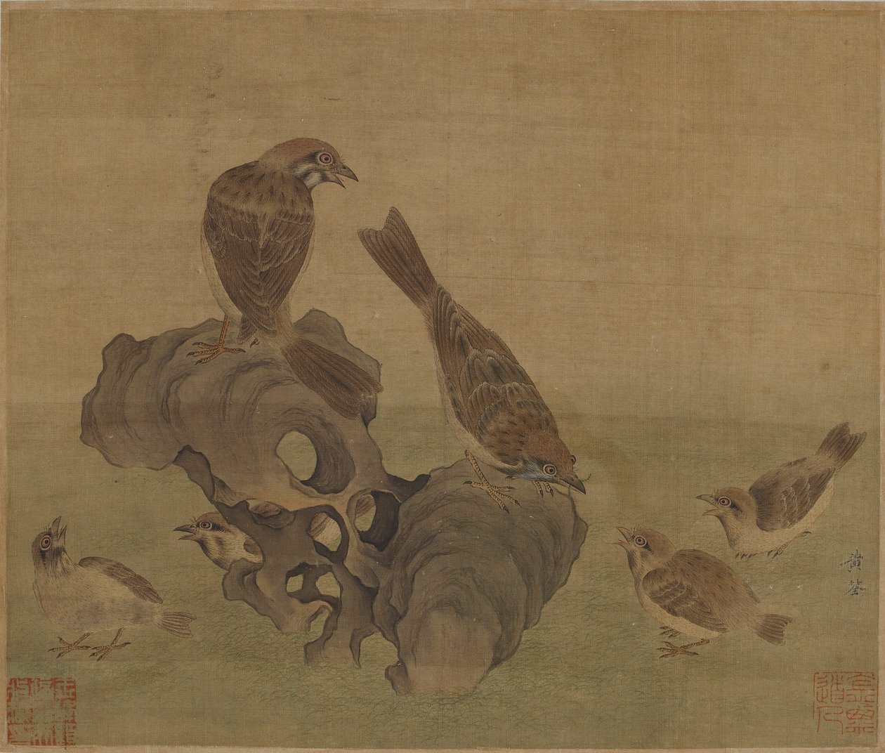 Pardais alimentando seus filhotes, dinastia Ming ou Qing, século XVII. de Unbekannt